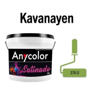 PINTURA ARQUITECTONICA - 1513A01-KAVANAYEN