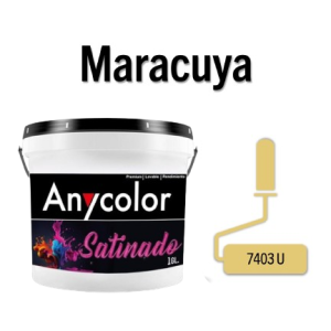 PINTURA ARQUITECTONICA - 1513A01-MARACUYA