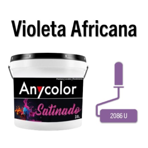 PINTURA ARQUITECTONICA - 1513A01-VIOLETAAFRICANA