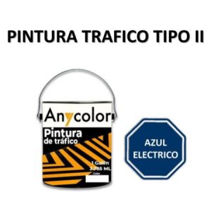 PINTURA VIAL - 0300018220024-TTP