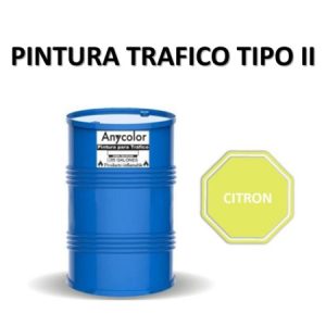 PINTURA VIAL - 0300018270046-TTP